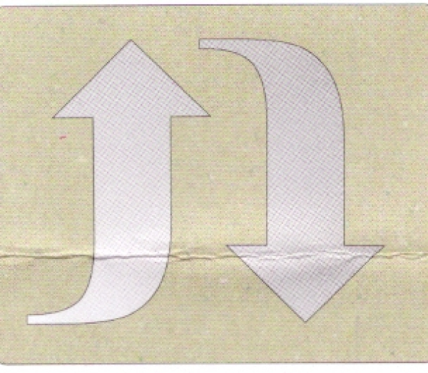 RICO SPIEGEL REFLECTIONS 2 PFEILE 08652.00.07