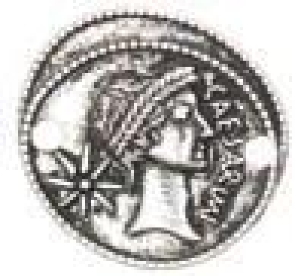 Münze mit Kopf silber 31x30mm 7090.67.02