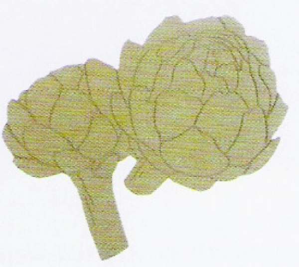 MDF HOLZDEKOR RICO ARTISCHOCKEN 08480.00.15